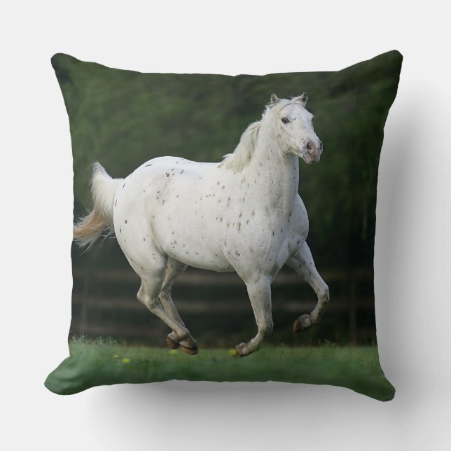 Appaloosa Horse Running 1 Throw Pillow (Front)