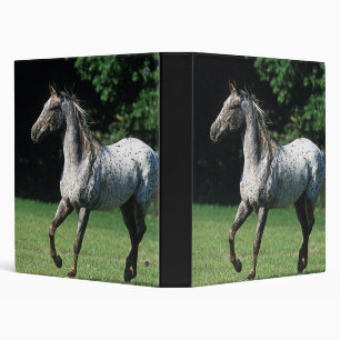 Appaloosa Horse Running 2 Binder