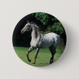 Appaloosa Horse Running 2 Button