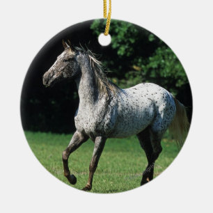 Appaloosa Horse Running 2 Ceramic Ornament