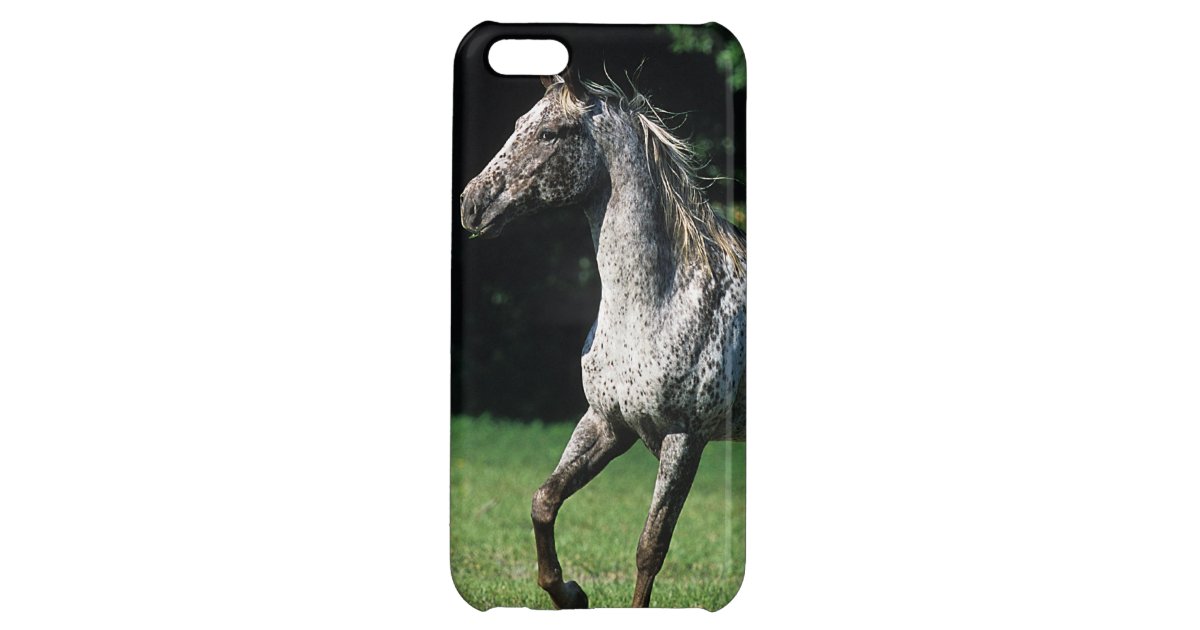 Appaloosa Horse Running 2 iPhone Case | Zazzle.com