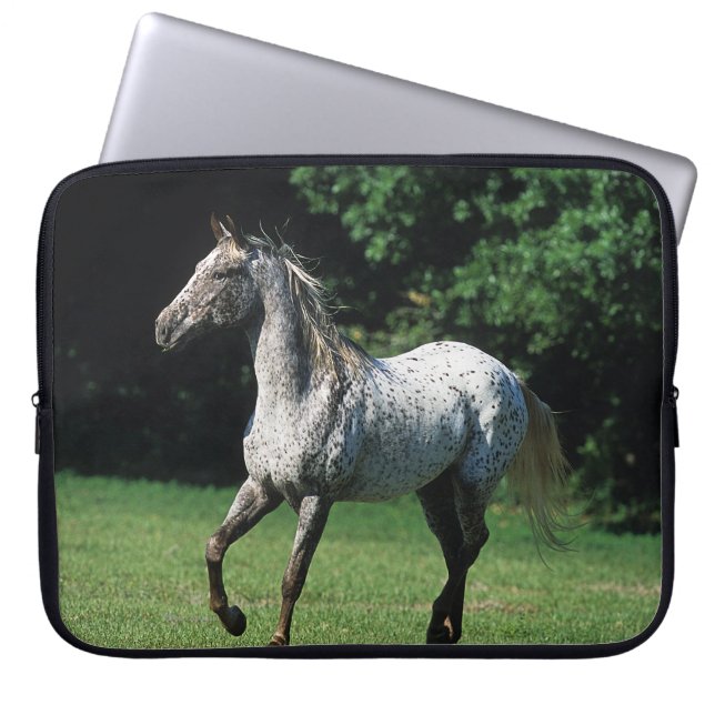 Appaloosa Horse Running 2 Laptop Sleeve (Front)