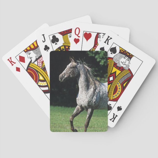 Appaloosa Horse Running 2 Poker Cards (Back)