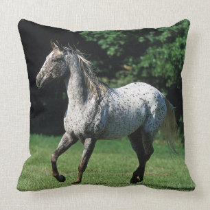Appaloosa Horse Running 2 Throw Pillow