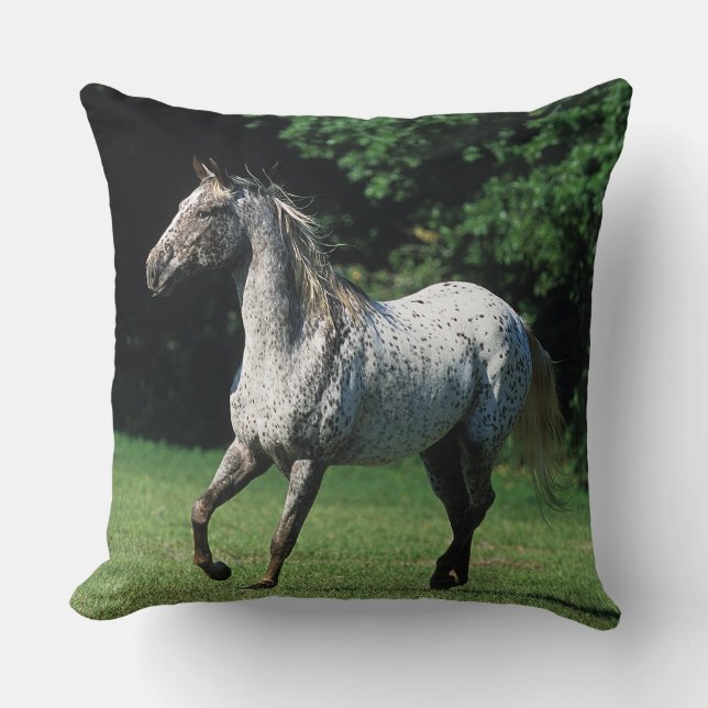 Appaloosa Horse Running 2 Throw Pillow (Front)