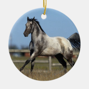 Appaloosa Horse Running 3 Ceramic Ornament