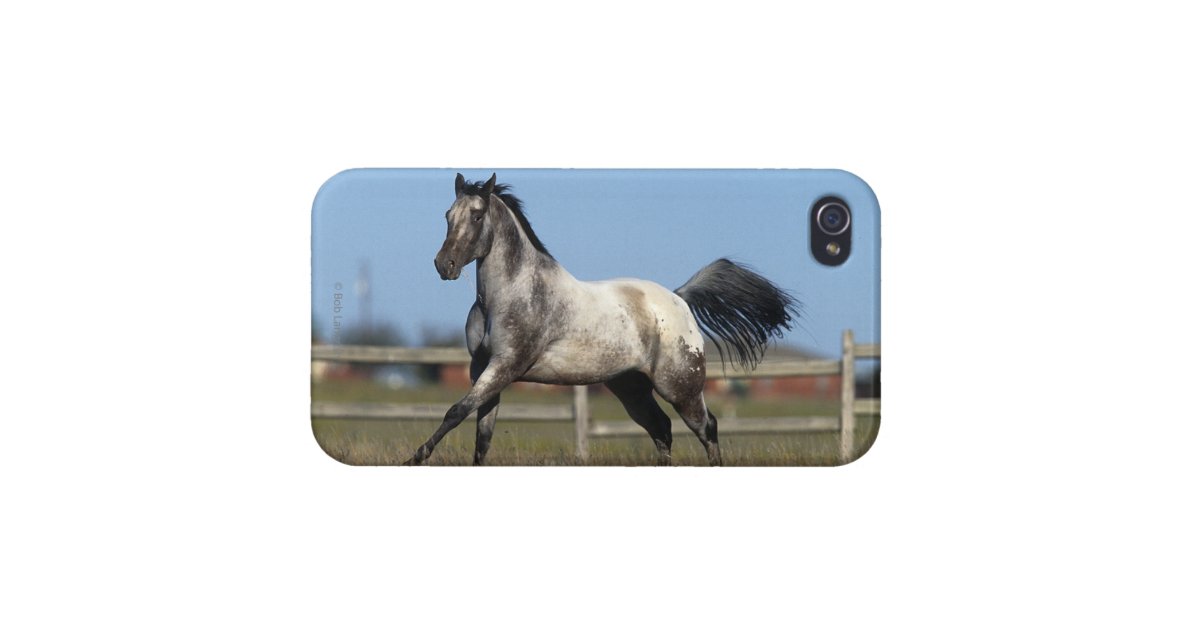 Appaloosa Horse Running 3 iPhone Case | Zazzle.com