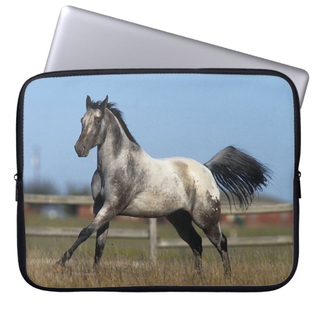 Appaloosa Horse Running 3 Laptop Sleeve (Front)