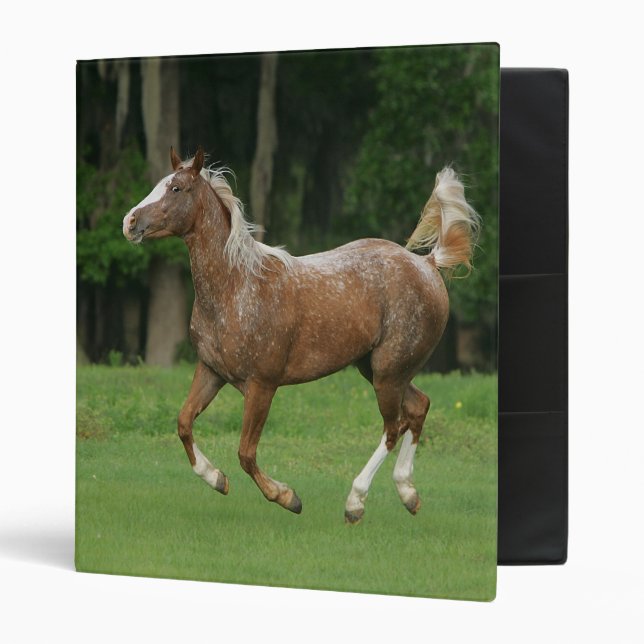 Appaloosa Horse Running 3 Ring Binder (Front/Inside)