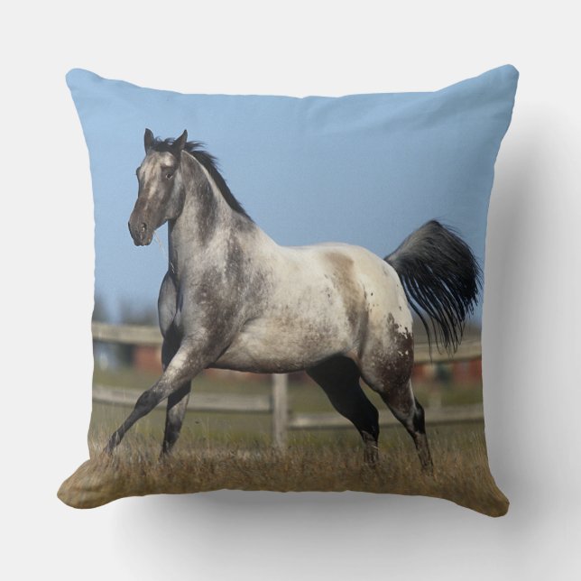 Appaloosa Horse Running 3 Throw Pillow (Front)