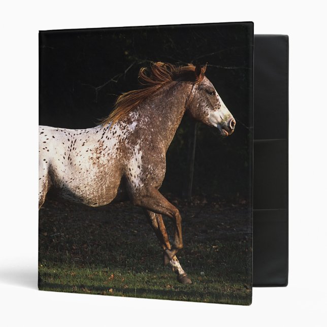 Appaloosa Horse Running 4 3 Ring Binder (Front/Inside)