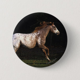 Appaloosa Horse Running 4 Button