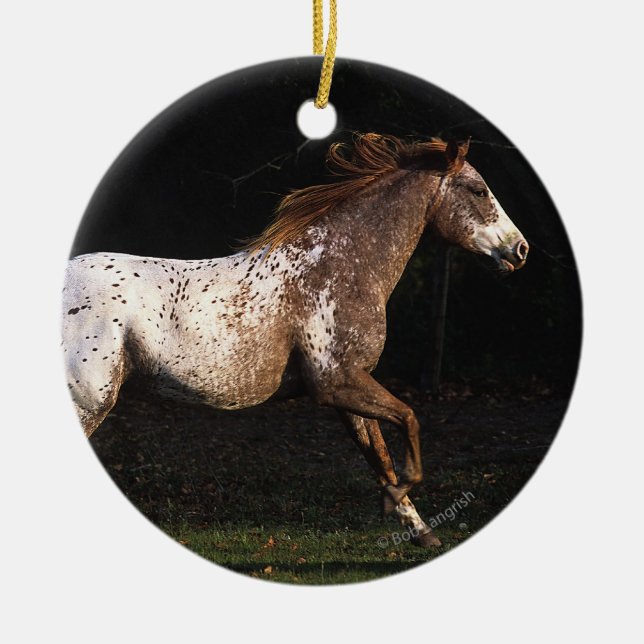 Appaloosa Horse Running 4 Ceramic Ornament (Front)