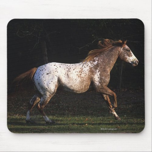 Appaloosa Horse Running 4 Mouse Pad