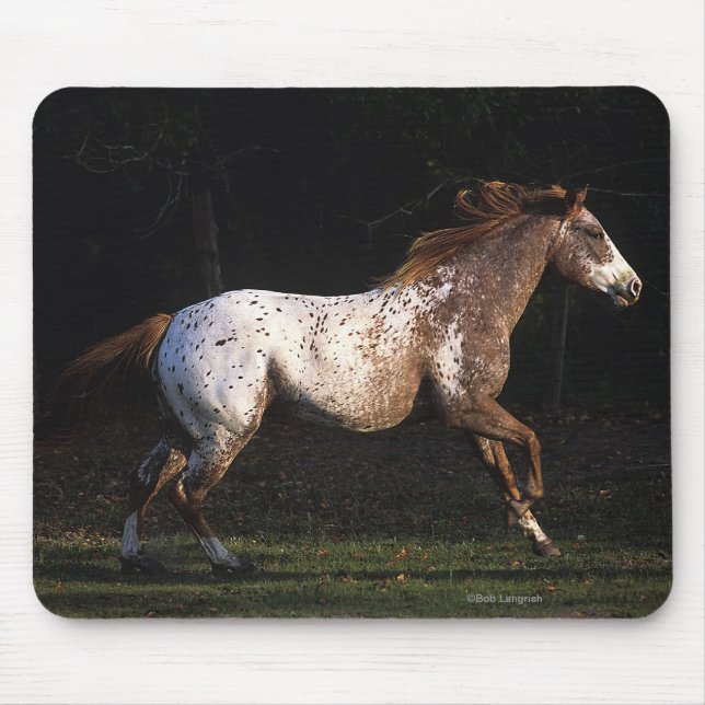 Appaloosa Horse Running 4 Mouse Pad (Front)