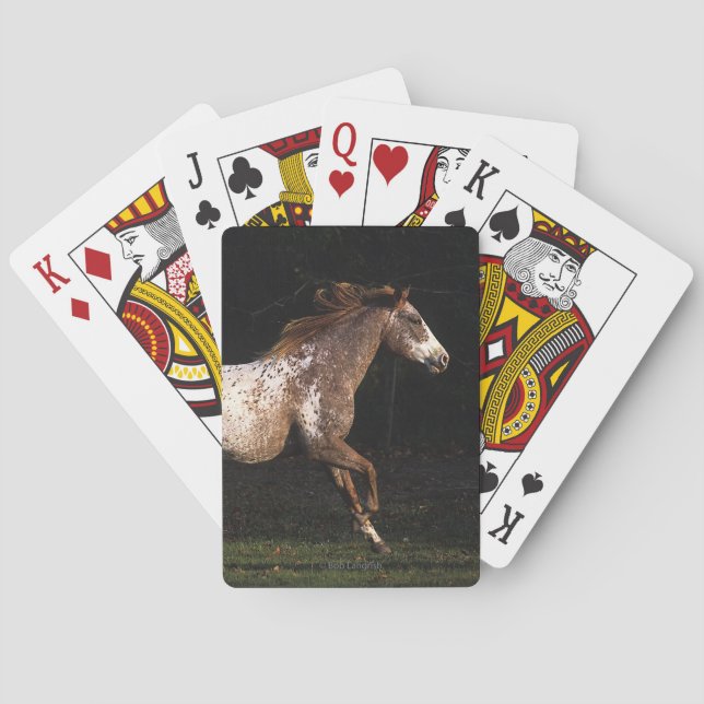 Appaloosa Horse Running 4 Poker Cards (Back)