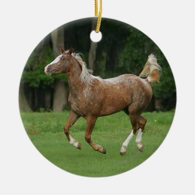 Appaloosa Horse Running Ceramic Ornament (Front)