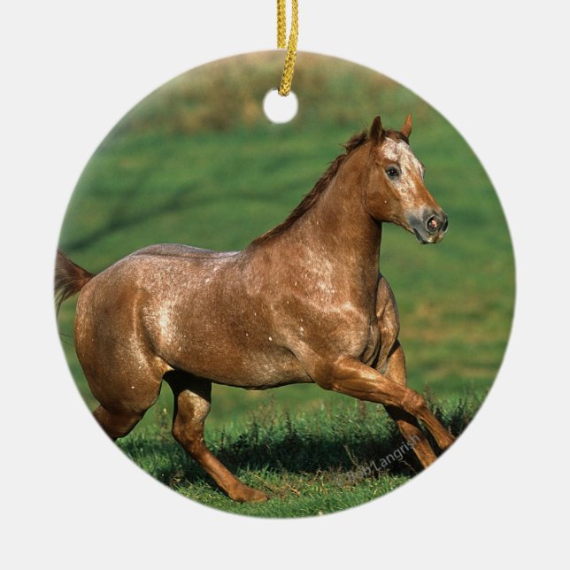 Appaloosa Horse Running in Grassy Field Ceramic Ornament (Front)