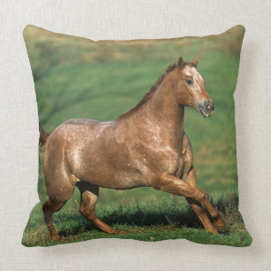 Appaloosa Horse Running in Grassy Field Throw Pillow