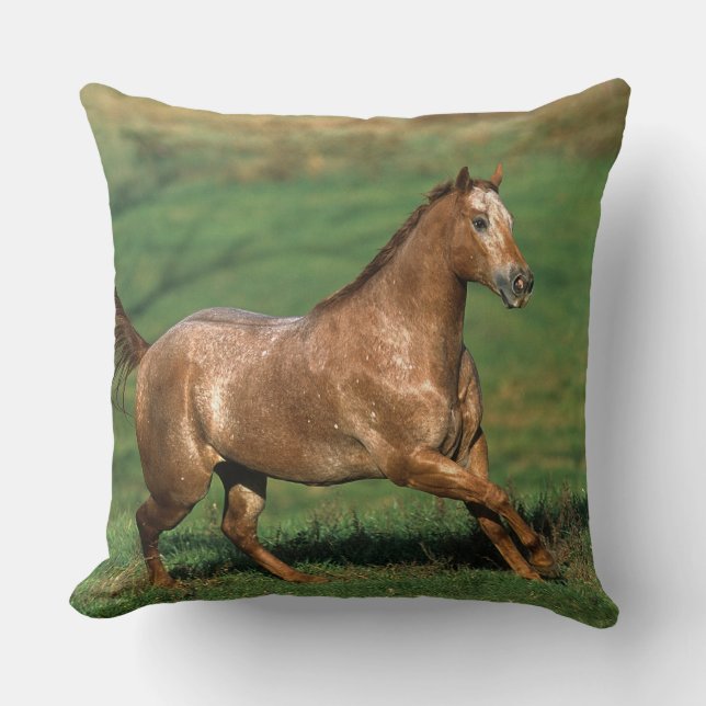 Appaloosa Horse Running in Grassy Field Throw Pillow (Front)