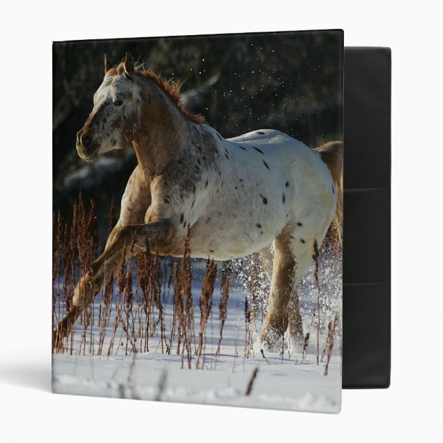 Appaloosa Horse Running in the Snow Binder (Front/Inside)