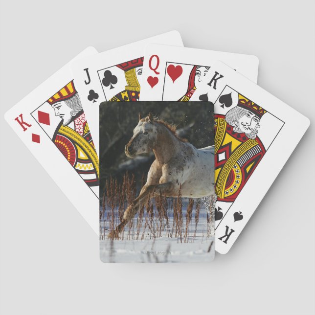 Appaloosa Horse Running in the Snow Poker Cards (Back)