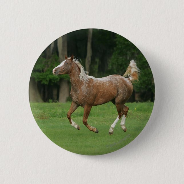 Appaloosa Horse Running Pinback Button (Front)