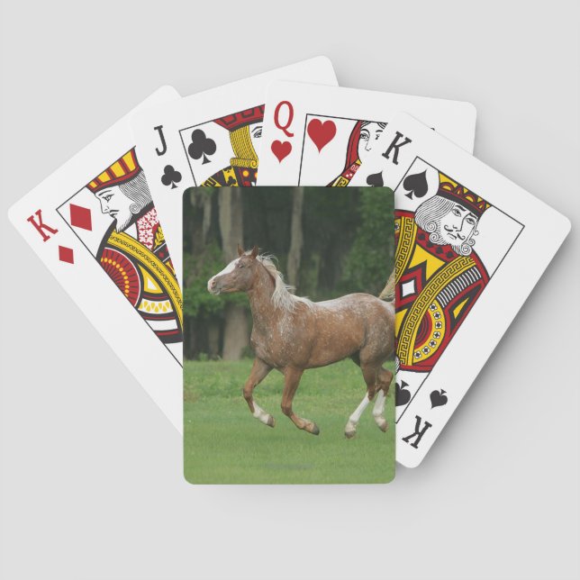 Appaloosa Horse Running Poker Cards (Back)