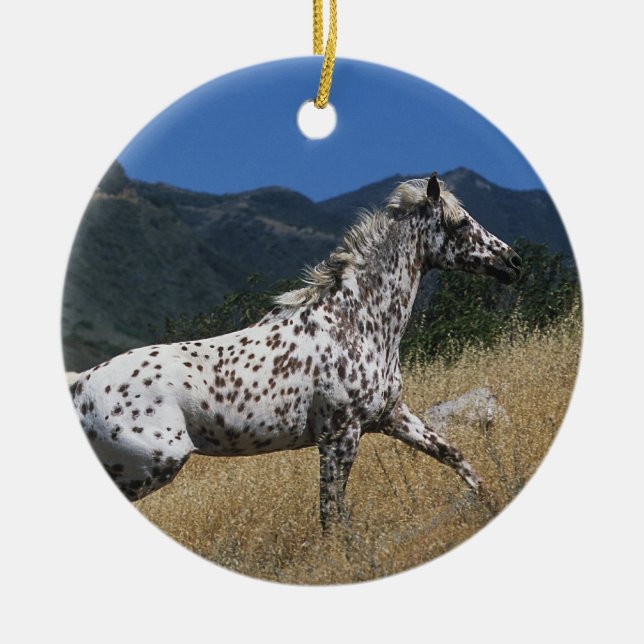 Appaloosa Horse Running up Mountain Ceramic Ornament (Front)