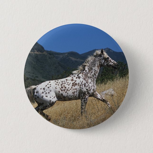 Appaloosa Horse Running up Mountain Pinback Button (Front)