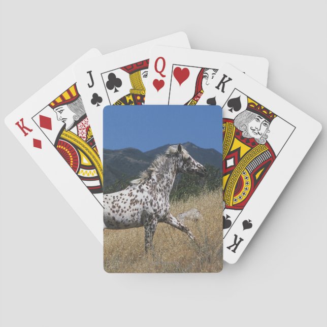 Appaloosa Horse Running up Mountain Poker Cards (Back)