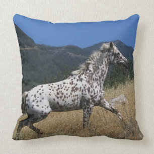 Appaloosa Horse Running up Mountain Throw Pillow