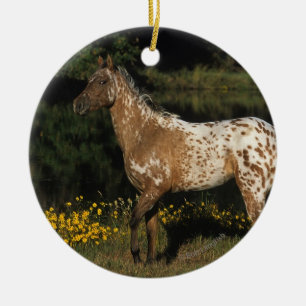 Appaloosa Horse Standing by Lake Ceramic Ornament