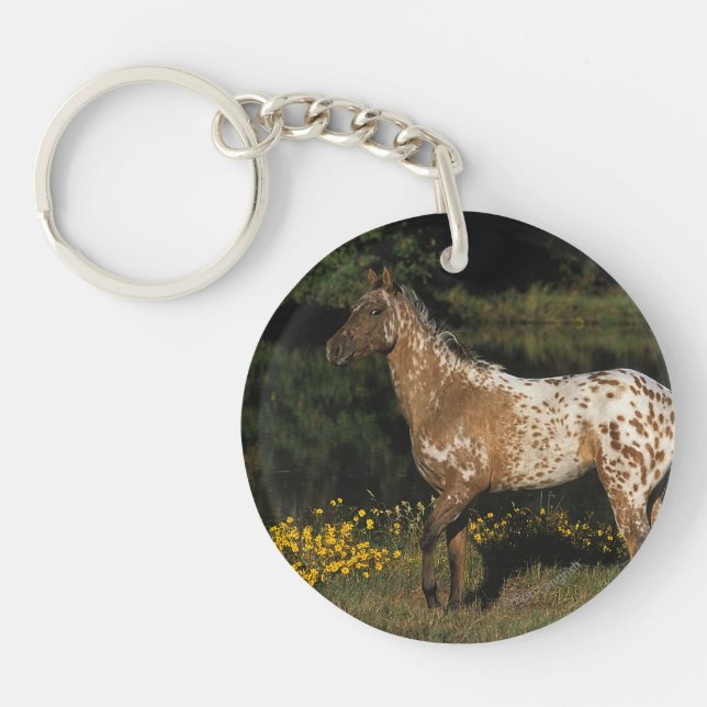 Appaloosa Horse Standing by Lake Keychain (Front)