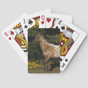 Appaloosa Horse Standing by Lake Poker Cards