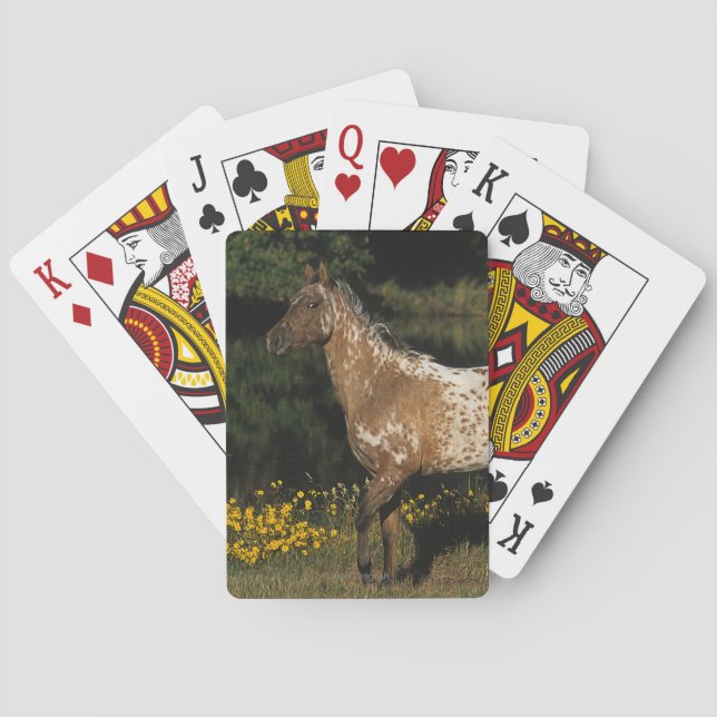 Appaloosa Horse Standing by Lake Poker Cards (Back)