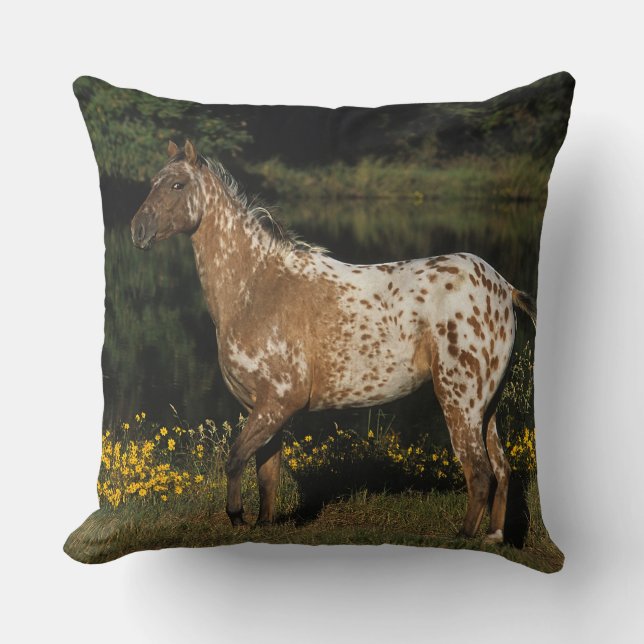 Appaloosa Horse Standing by Lake Throw Pillow (Front)