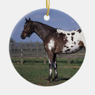 Appaloosa Horse Standing Ceramic Ornament