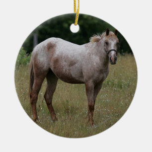 Appaloosa Horse Standing in the Grass Ceramic Ornament