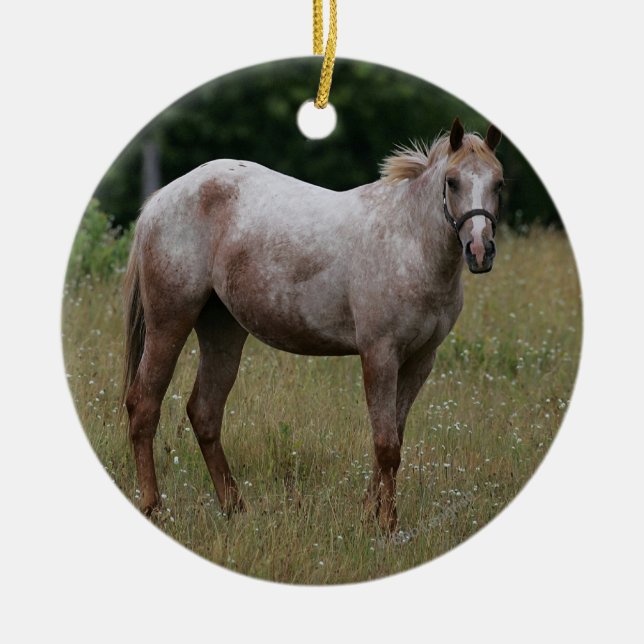 Appaloosa Horse Standing in the Grass Ceramic Ornament (Front)
