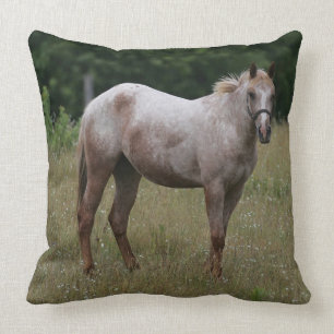 Appaloosa Horse Standing in the Grass Throw Pillow
