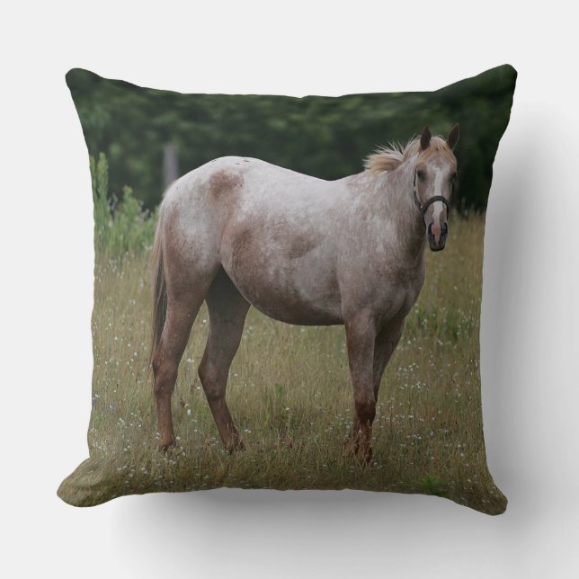 Appaloosa Horse Standing in the Grass Throw Pillow (Front)