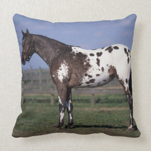 Appaloosa Horse Standing Throw Pillow