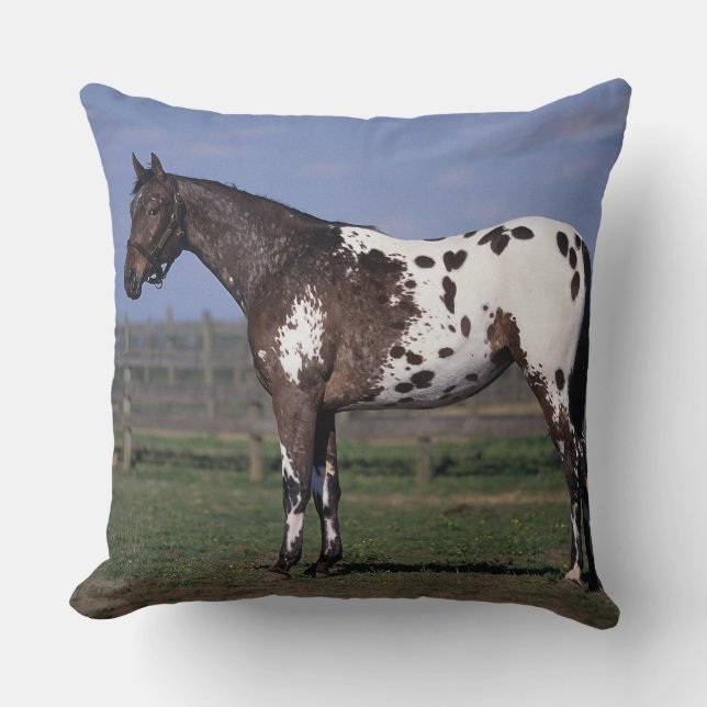 Appaloosa Horse Standing Throw Pillow (Front)