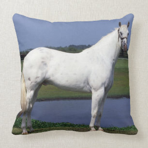 Appaloosa Horse Throw Pillow