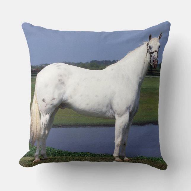 Appaloosa Horse Throw Pillow (Front)