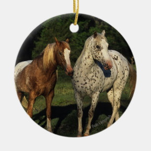 Appaloosa Horses Ceramic Ornament