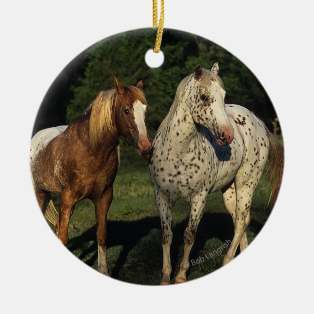 Appaloosa Horses Ceramic Ornament (Front)