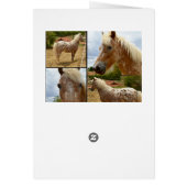 Appaloosa Horses Photo Collage Birthday (Back)