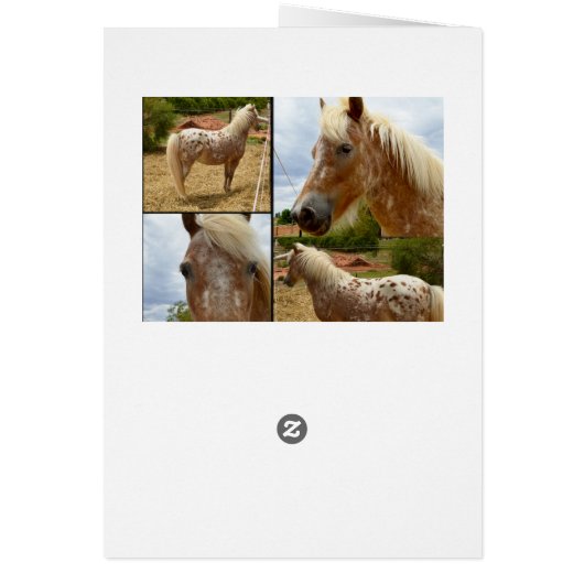 Appaloosa Horses Photo Collage Birthday (Back)